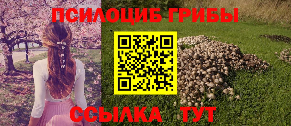 Псилоцибиновые грибы GOLDEN TEACHER  Псилоцибиновые грибы прущие грибы  закладки  Вход с VPN  Борисоглебск 