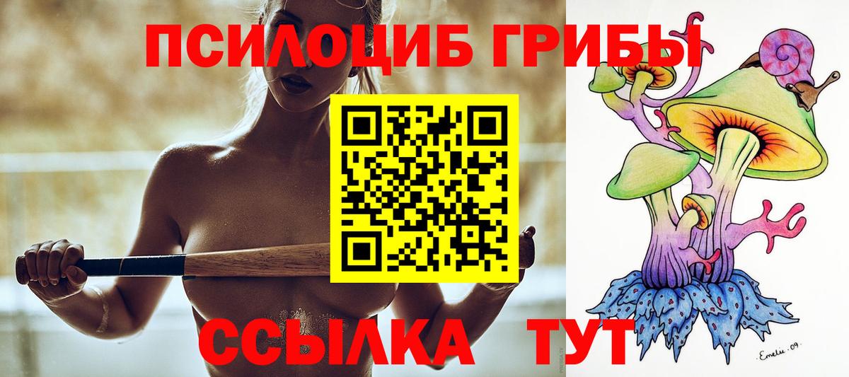 Галлюциногенные грибы Psilocybe Борисоглебск